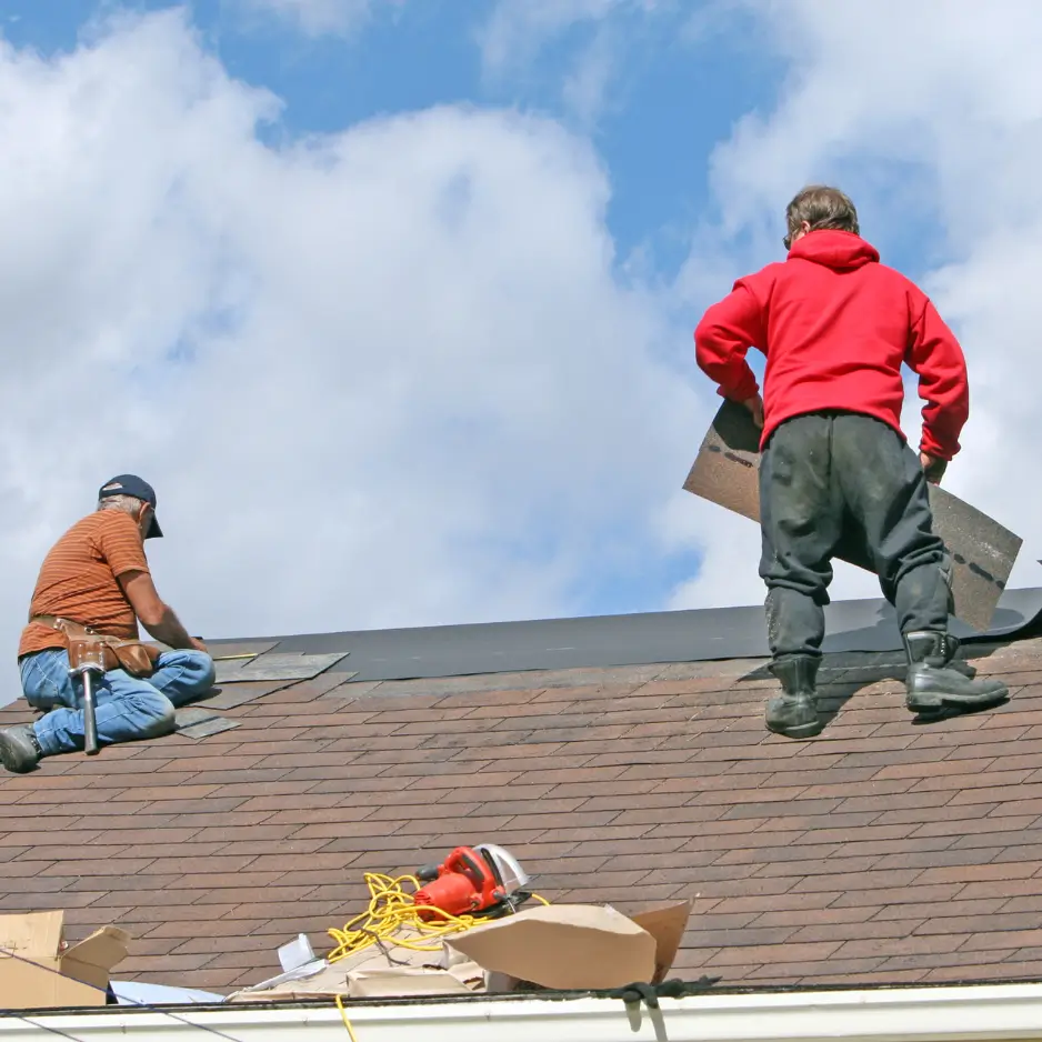Roof Repair Shingle