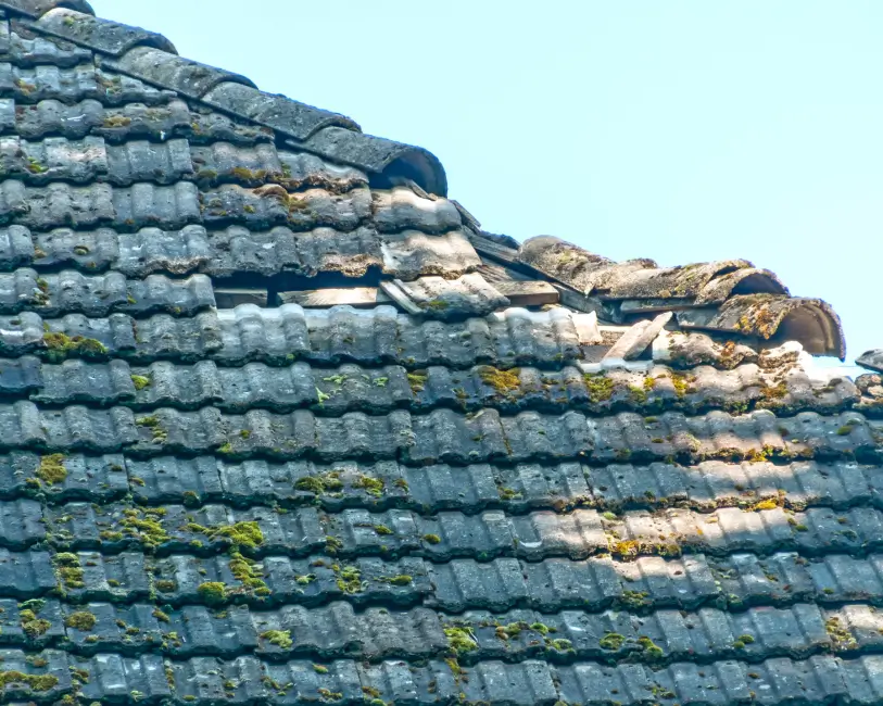 Roof Repair Puyallup