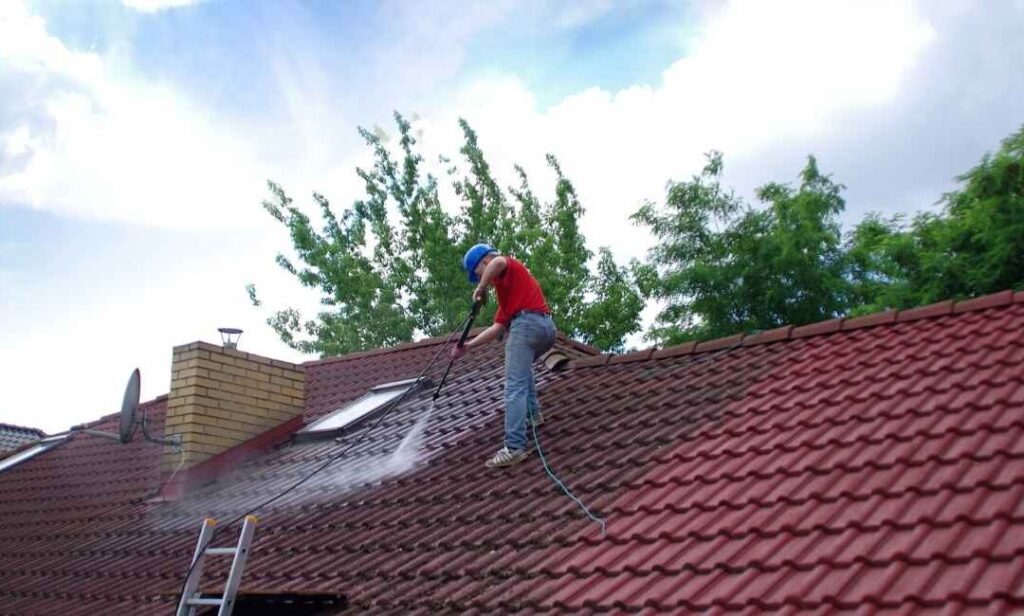 Roof Cleaning Service