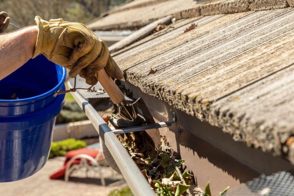 Gutter & Downspout Cleaning