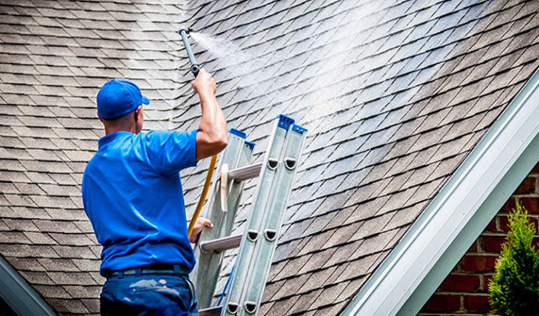 Soft Wash Roof Cleaning
