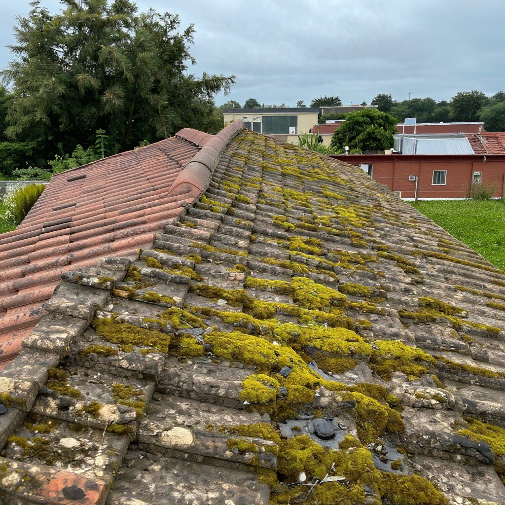 Roof Cleaning Puyallup: Protect Your Roof & Boost Your Home’s Curb Appeal